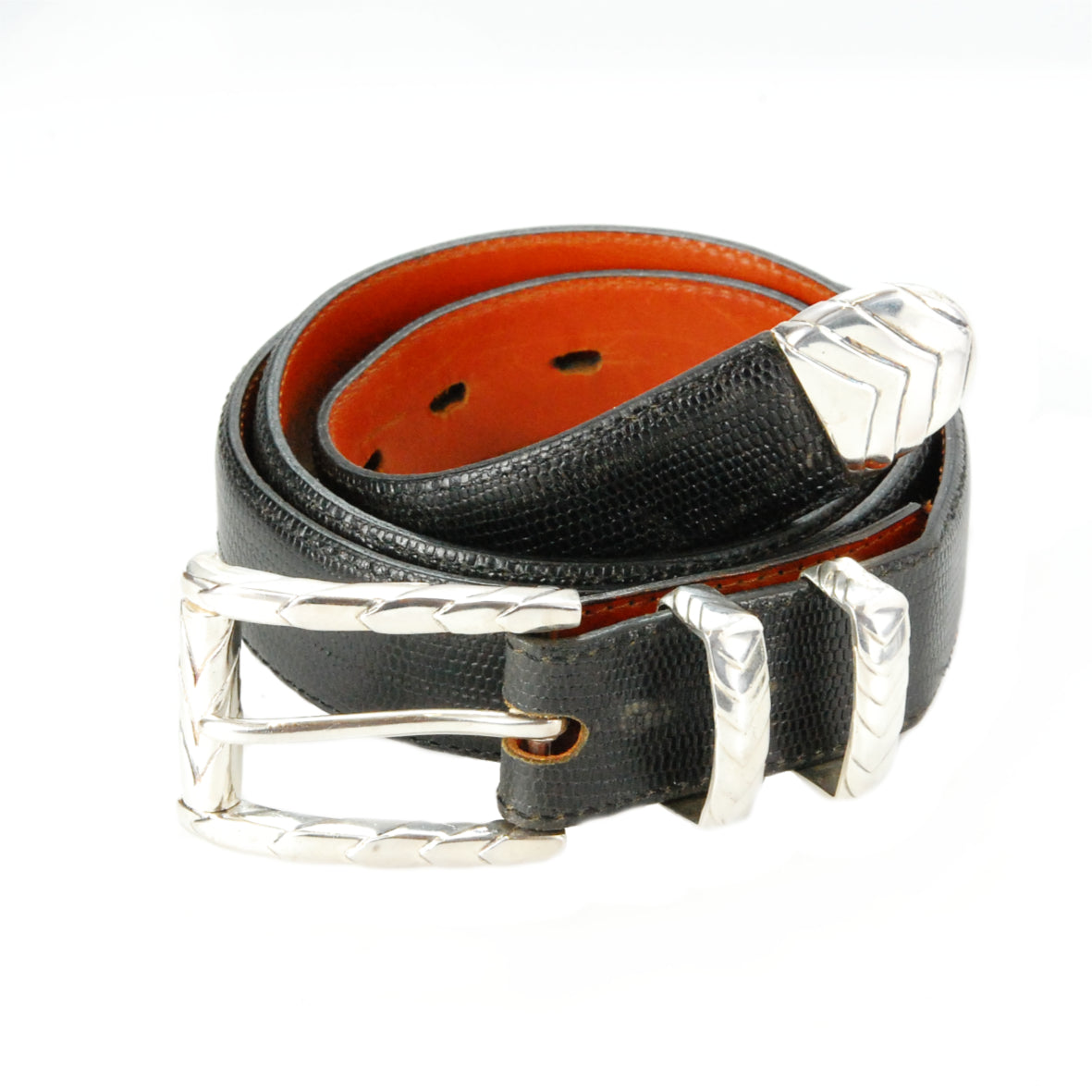 Silver Beltset GROWING PLANT 30