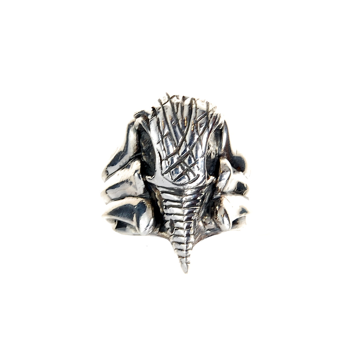 Silver Ring EAGLE SKULL Engraved and Sproutsband
