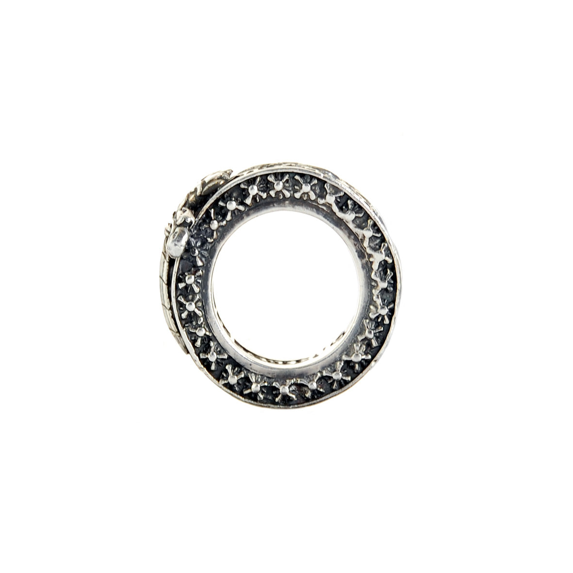 Silver Ring GARDEN AT NIGHT with M-Stars Sides Band with DAGGER