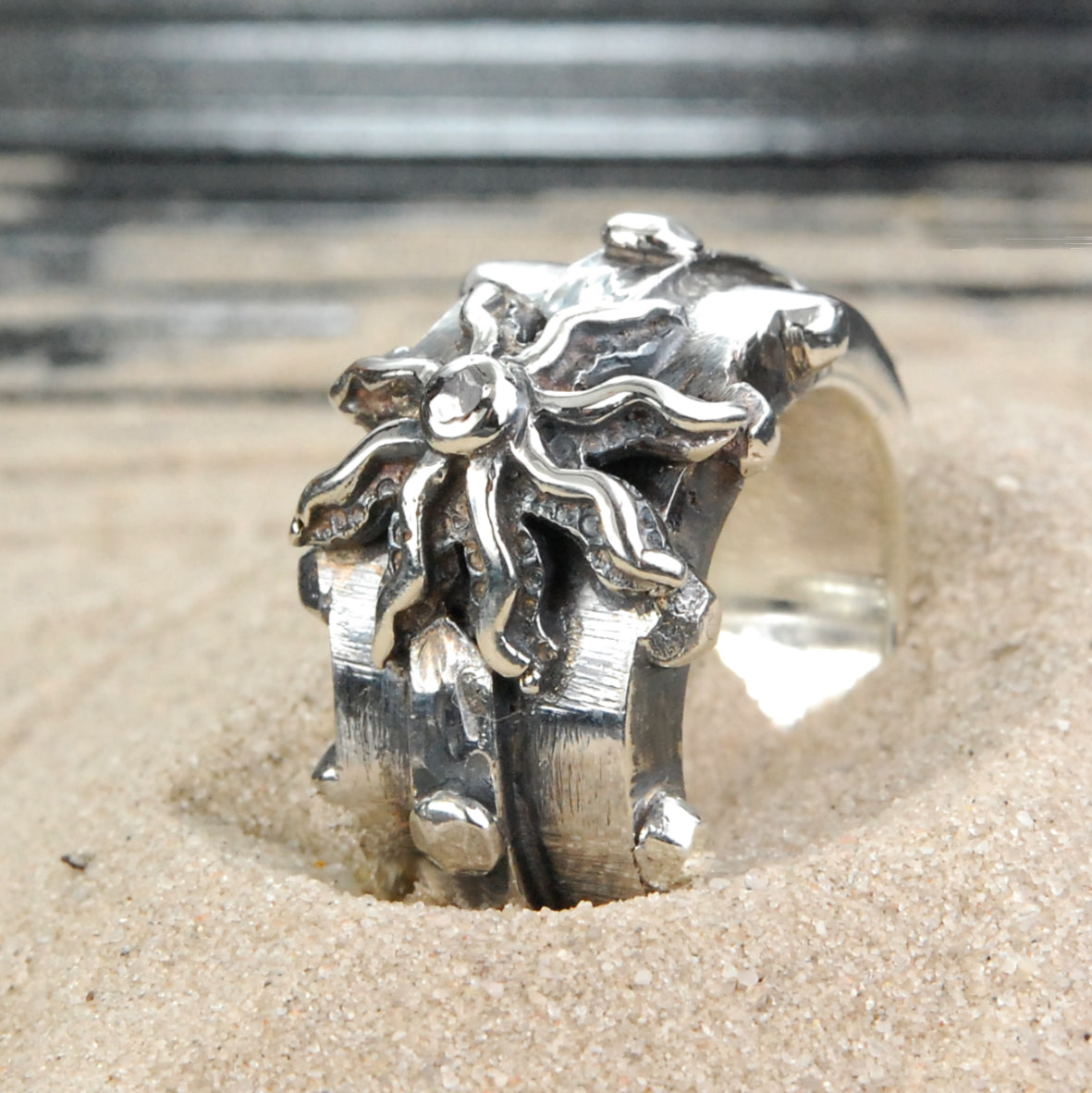 Silver Ring Faceted Body Rivets and ELFIN SUN with Meteorite