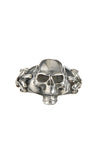 Silver Ring SKULL on Lily Band