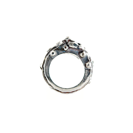 Silver Ring Faceted Body with Rivets and Straigt Lily with Meteorite