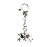 Silver Key Tag LILY with BELIEVE IN YOUR DREAMS