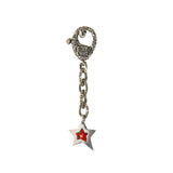 Silver Keytag SHOOTING STAR with Garden at Night Karabiner